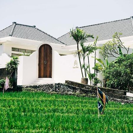New Design Villa Casa Alma 3Bdr With Private Pool, Canggu 외부 사진