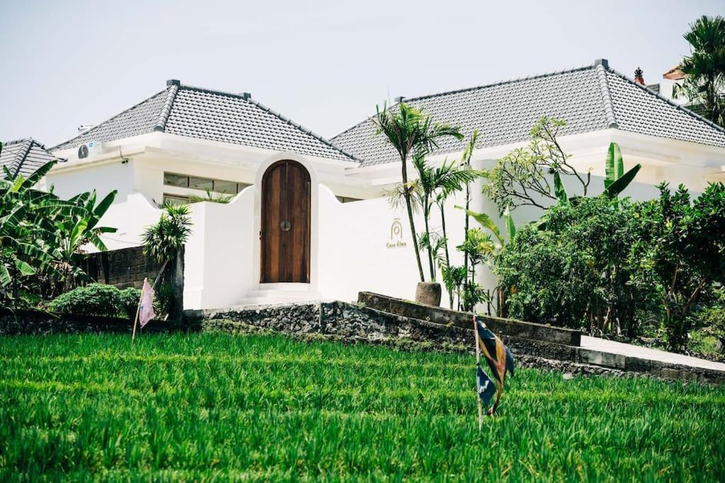 New Design Villa Casa Alma 3Bdr With Private Pool, Canggu 외부 사진